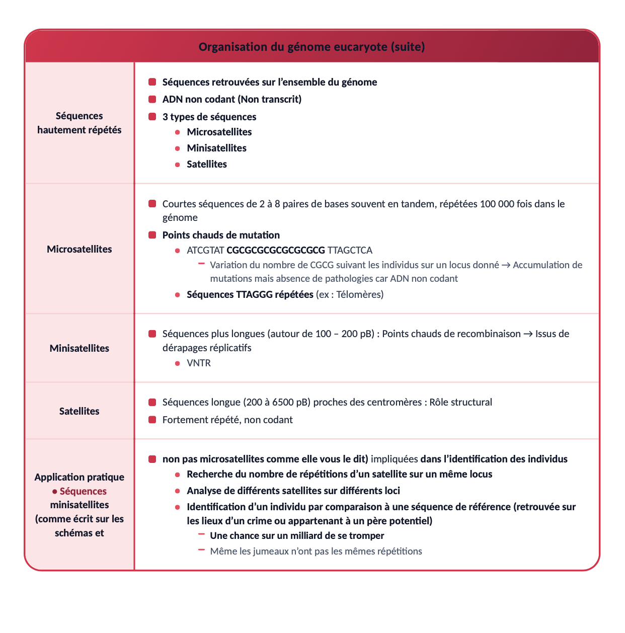 Cours de qualité : fiche de révision sur l'organisation du génome eucaryote
